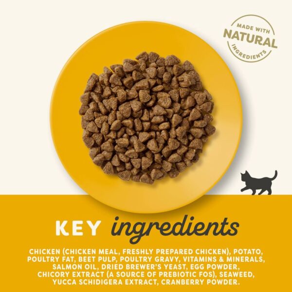 Applaws Cat Food for Kittens - Image 6