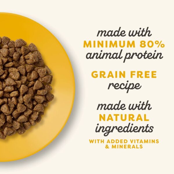 Applaws Cat Food for Kittens - Image 7