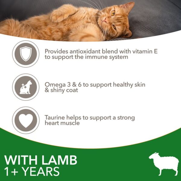 IAMS Advanced Nutrition Adult Cat with Lamb - Image 2