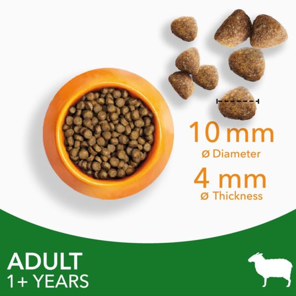 IAMS Advanced Nutrition Adult Cat with Lamb - Image 3