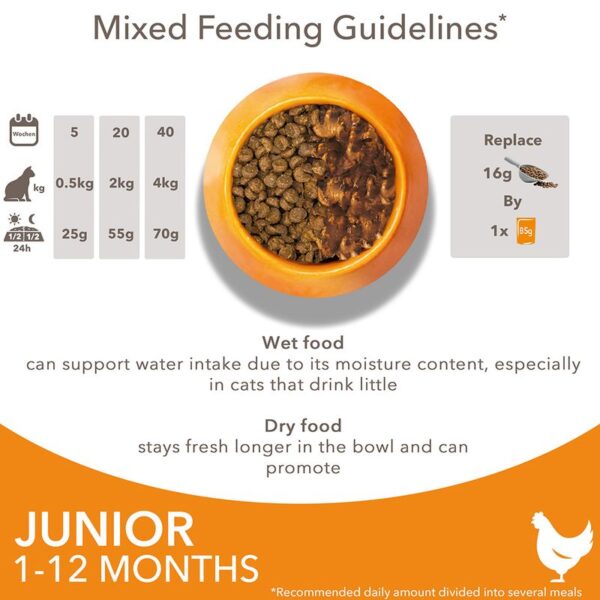 IAMS Advanced Nutrition Kitten with Fresh Chicken - Image 5