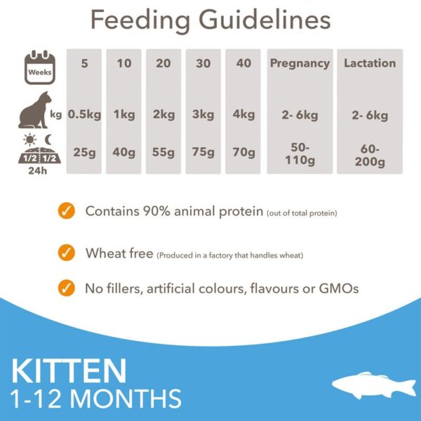 IAMS Advanced Nutrition Kitten with Ocean Fish - Image 4