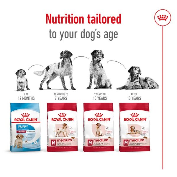 Royal Canin Medium Adult  4kg - Image 5