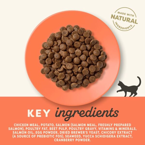 Applaws Chicken & Salmon Cat Food - Image 4