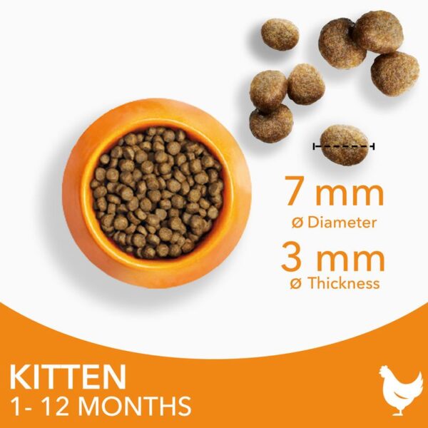 IAMS Advanced Nutrition Kitten with Fresh Chicken - Image 3