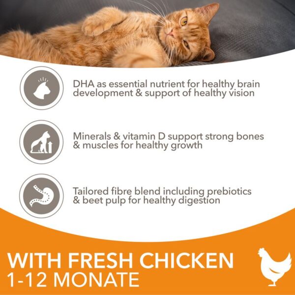 IAMS Advanced Nutrition Kitten with Fresh Chicken - Image 2