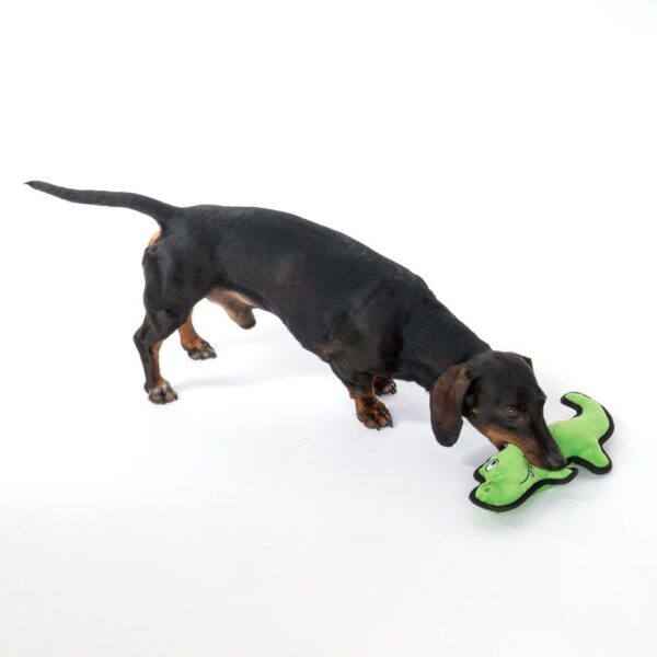 TIAKI Happy Croco Tough Dog Toy  33 x 14 x 5cm (Lx W x H) - Image 4