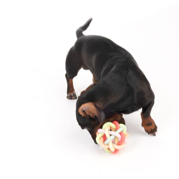 TIAKI Rainbow Ball TPR Dog Toy  10.5cm (Diameter) - Image 3