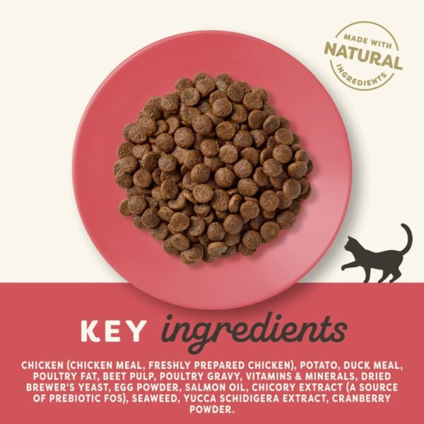 Applaws Adult Chicken & Duck Cat Food - Image 2