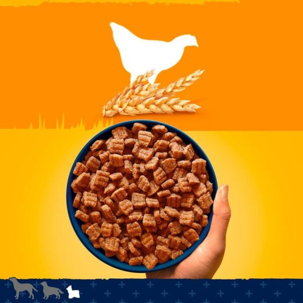 Pedigree Adult Small Breed - Tender Goodness with Poultry - Image 3