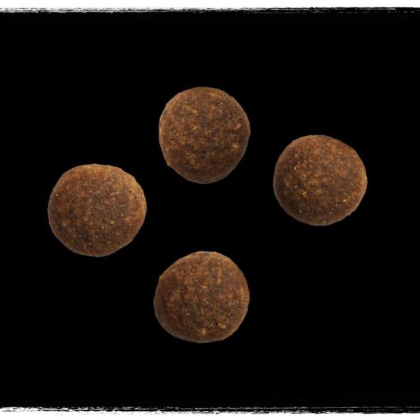 CRAVE Adult with Chicken, Bone Marrow & Ancient Grains Dry Dog Food - Image 3