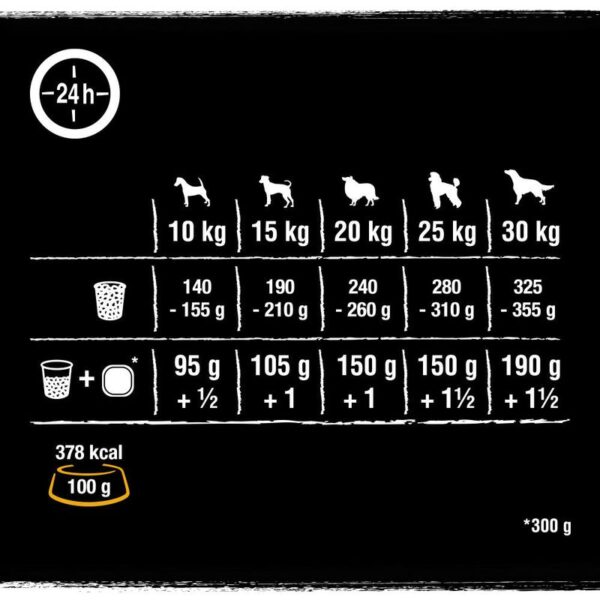 CRAVE Adult with Chicken, Bone Marrow & Ancient Grains Dry Dog Food - Image 4