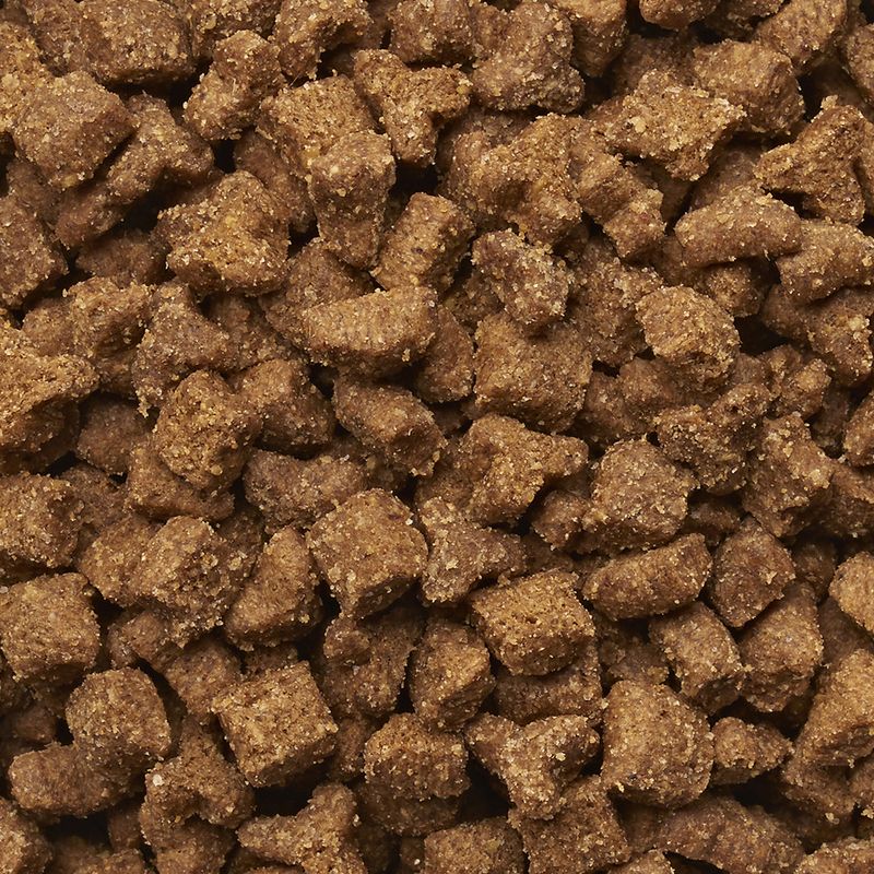 IAMS Pro Active Health Adult Multi-Cat Household  15kg - Image 3