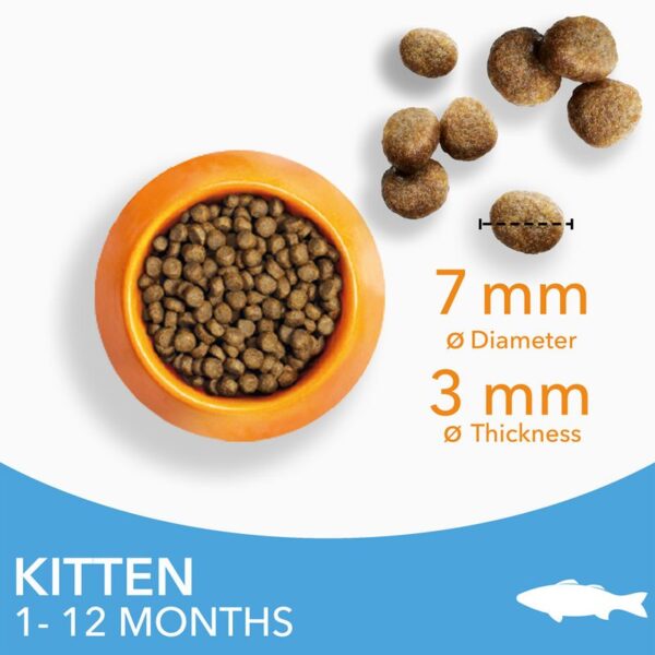 IAMS Advanced Nutrition Kitten with Ocean Fish - Image 3