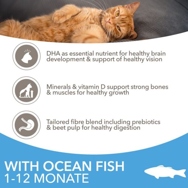 IAMS Advanced Nutrition Kitten with Ocean Fish - Image 2