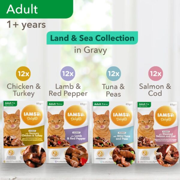 96 x 85g IAMS Delights Wet Cat Food Mega Pack!*  Land & Sea Collection in Jelly - Image 4