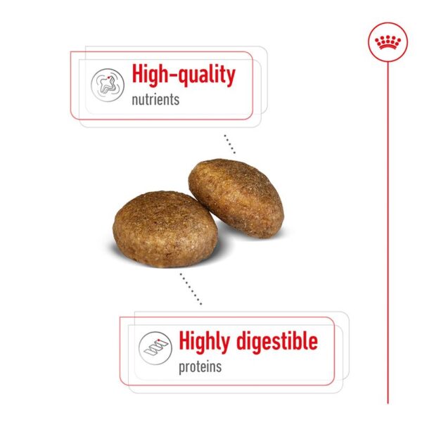 Royal Canin Maxi Adult  4kg - Image 3