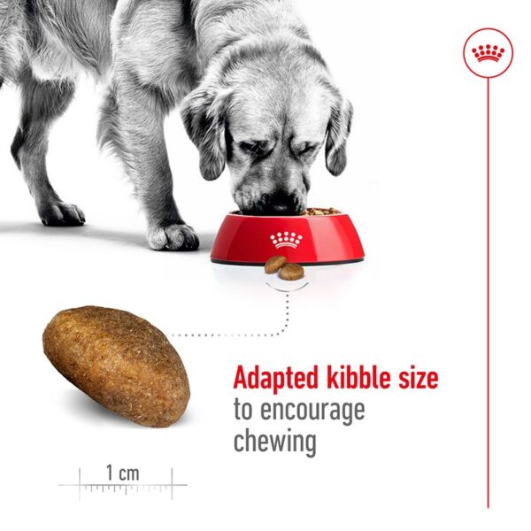 Royal Canin Maxi Adult  4kg - Image 4