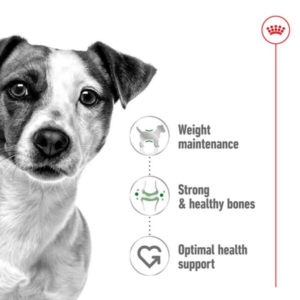 Royal Canin Mini Adult  2kg - Image 5